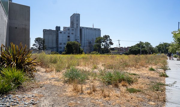 Undeveloped Parcel on Water Street (near La Via), a vacant property in downtown Petaluma